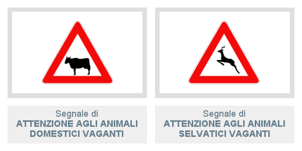 Attenzione agli Animali Domestici e Selvatici vaganti